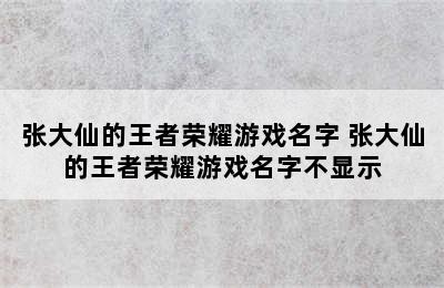 张大仙的王者荣耀游戏名字 张大仙的王者荣耀游戏名字不显示